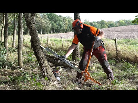 The SAFEST Way to Fell a Tree: Forest Master 3-In-1 Felling Lever (FM3-LP)