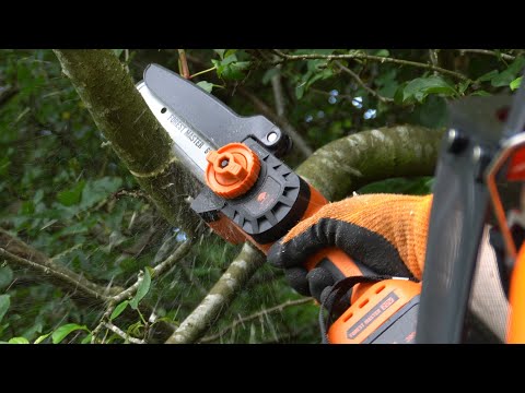 Compact and Versatile! Forest Master 20V 6&quot; Cordless Mini Chainsaw