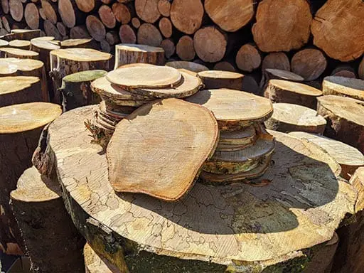 The Ultimate Chainsaw Sawmill? 9 sawmill coins complete