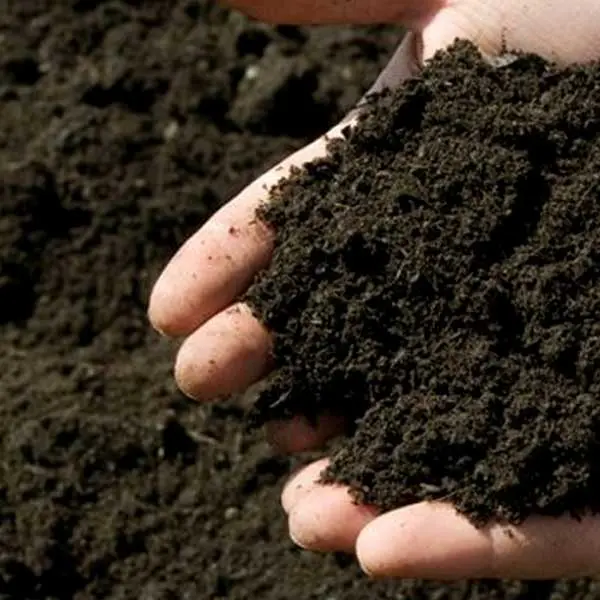 How to make compost at home 7 finished compost, hands holding compost, garden