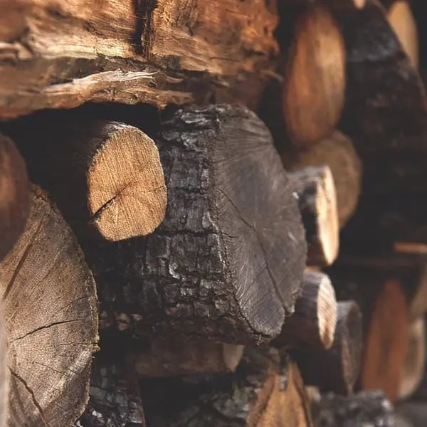 How to Season your Firewood 4 seasoned firewood, log pile