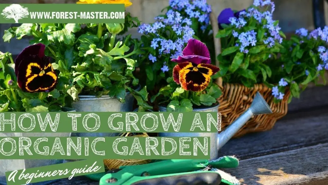 Organic Gardening: Tips, Tricks, and Techniques 6 resized image Promo 5