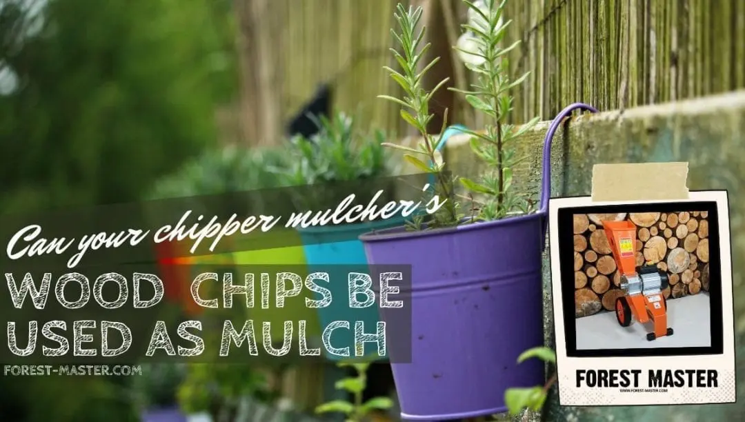 Can your chipper mulcher' wood chips be used as mulch? 7 resized image Promo 8