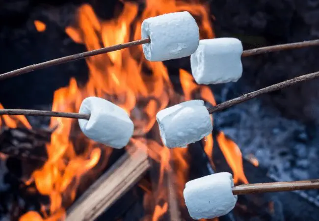 8 façons d'utiliser les rondins 13 11