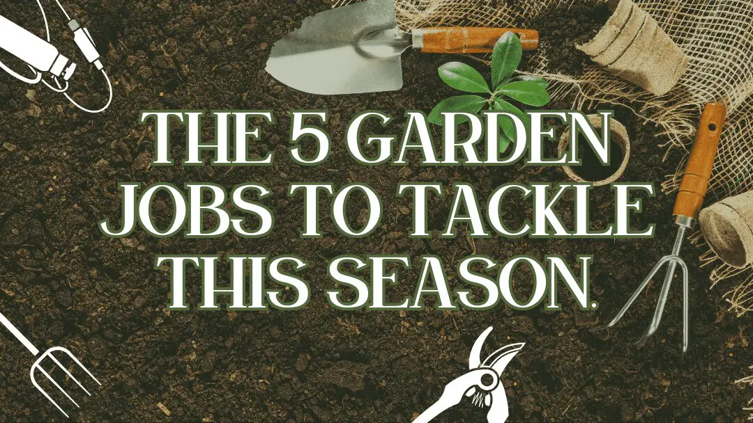 Unleash Your Green Thumb: The 5 Garden Jobs to Tackle This Season! 1 Image of garden tools, soil and plant