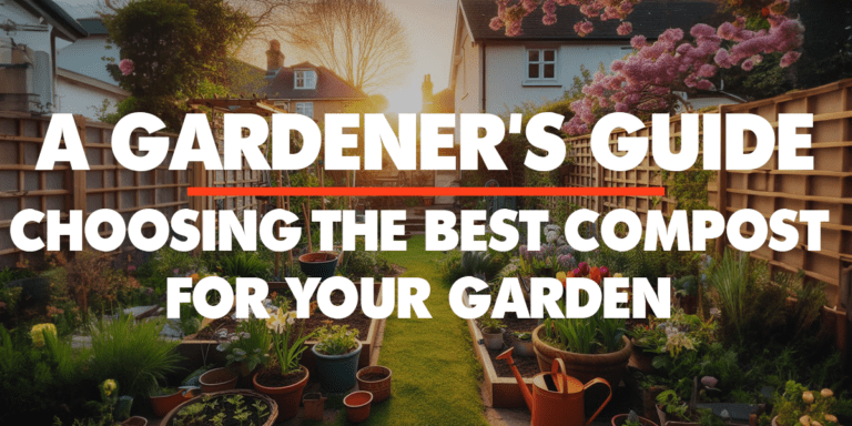 Accueil 20 Modèle de bannière Web Guide du jardinier