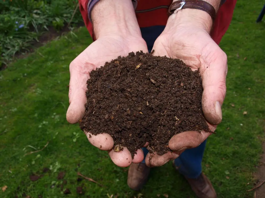 Guide du jardinier : choisir le meilleur compost pour votre jardin 2 deux mains jointes tenant du compost
