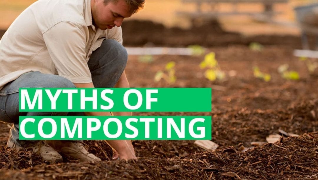 myter om kompostering, myter om kompostering, trädgårdsarbete