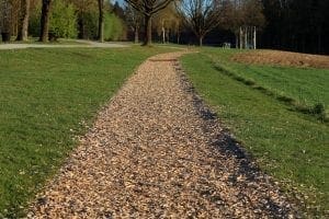 Camino de virutas de madera