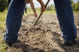 Preventing Soil Erosion