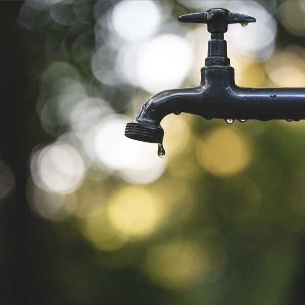 robinet de jardin, alimentation en eau extérieure, jardin d'hiver