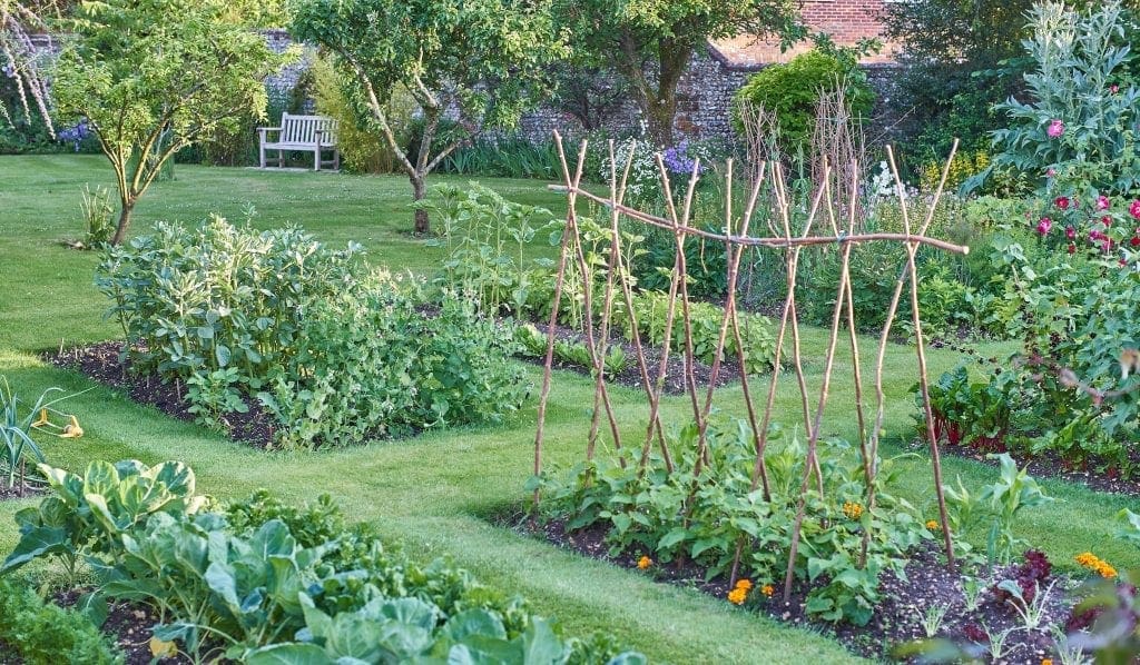 Jardin potager