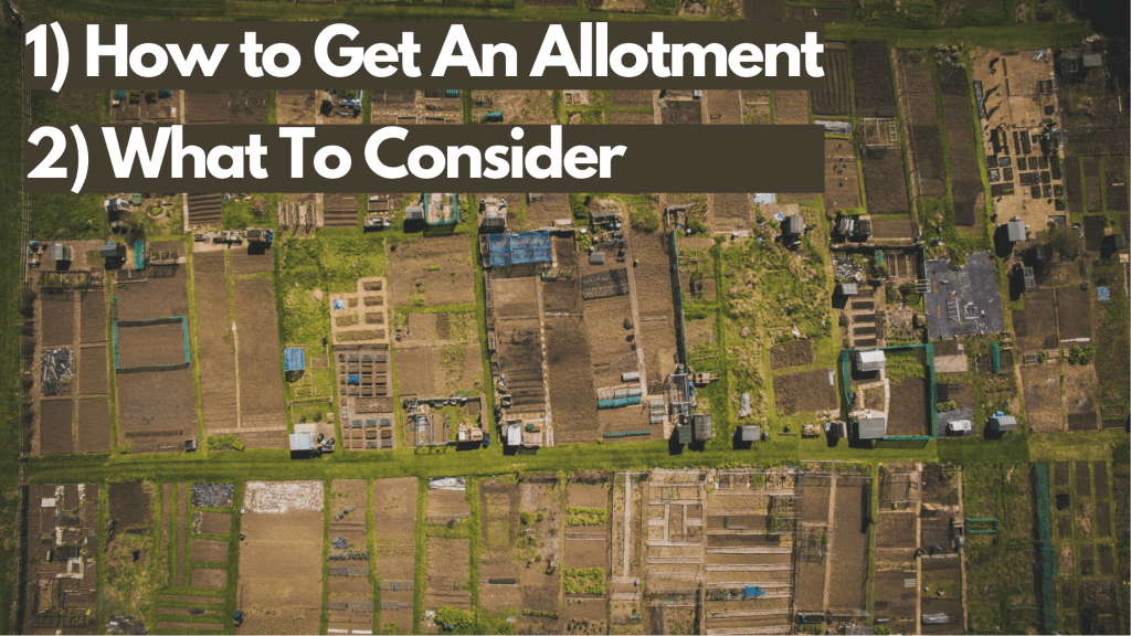 allotment, how to get an allotment, what to consider, soil, garden
