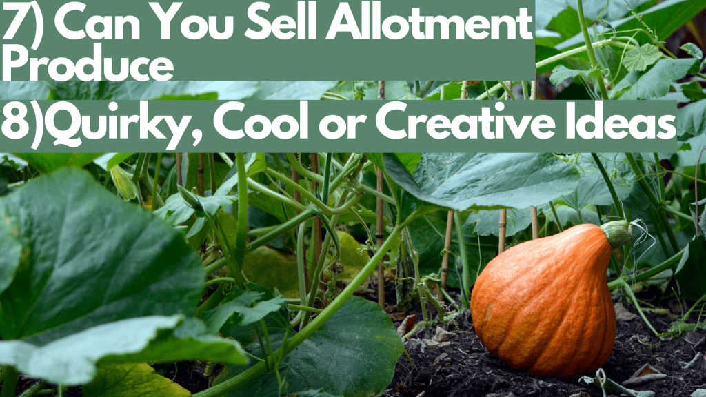 can you sell allotment produce, quirky, cool, creative allotment ideas
