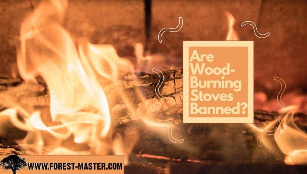 Are Wood Burning Stoves Banned? Find Out Here! Forest Master