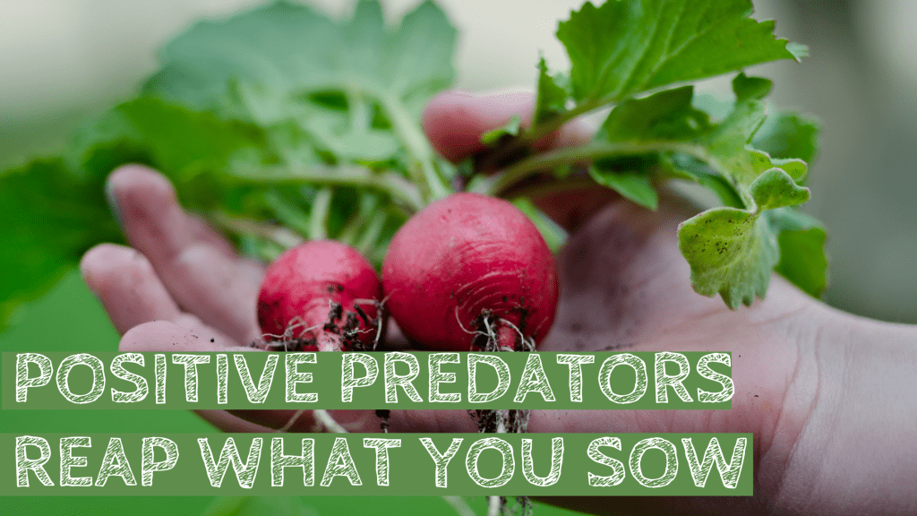 predators, plants, organic, organic garden