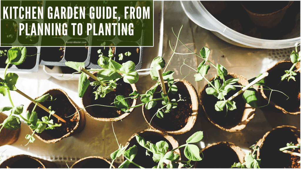 Kitchen Garden, Planting, Garden, Outdoor, plants, green