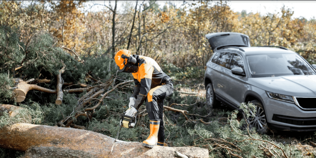 safety equipment chainsawing