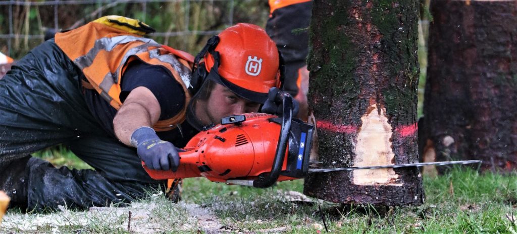 Man using chainsaw to cut a tree at show