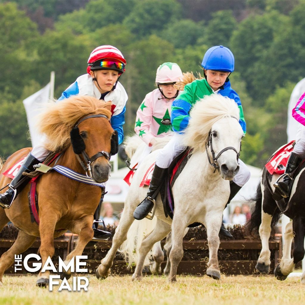 Children racing horses at agriculture event
