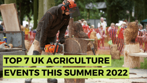 Image of man using chainsaw to cut a tree stump at an agricultre show