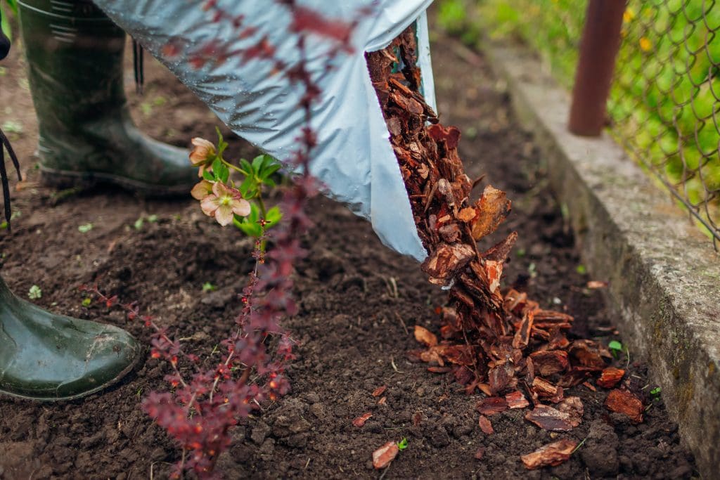 WOOD CHIPS USED AS MULCH