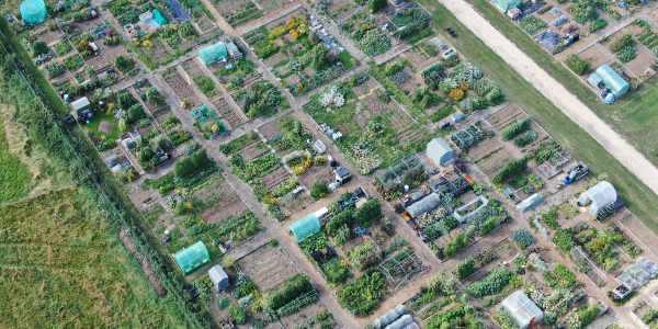 Image of birds eye view of allotments