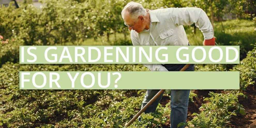 Is Gardening Good For You Forest Master 4977