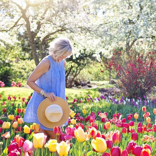 trädgårdsodling utomhus i solen, ljusa blommor