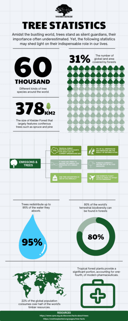 Green Modern Informational Data Infographic 1