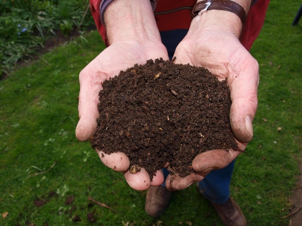 two hands cupped together holding compost