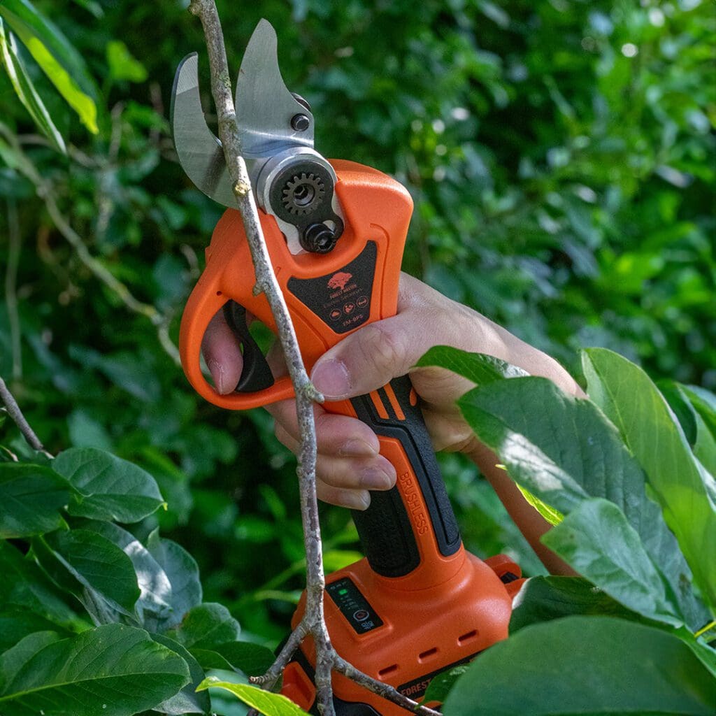 Pruners 7